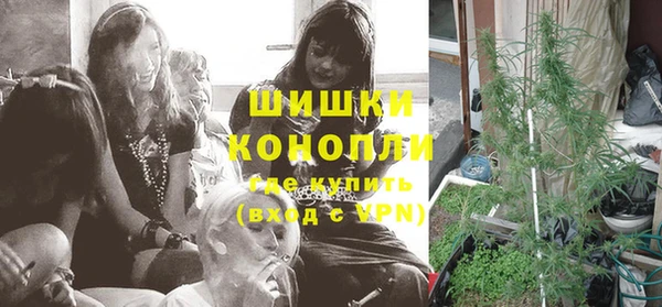 2c-b Богородицк