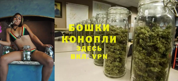 тгк Богородск