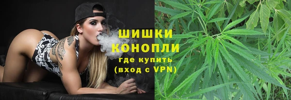 2c-b Богородицк