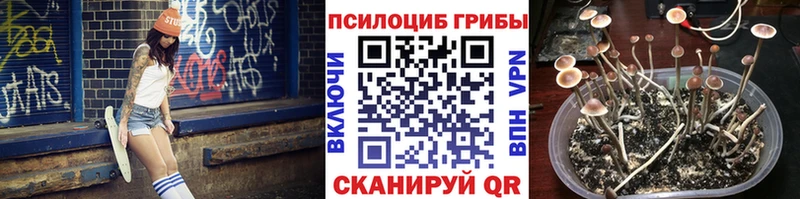 купить   это какой сайт  ссылка на мегу вход  Галлюциногенные грибы GOLDEN TEACHER  Данков 